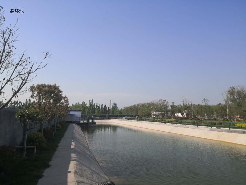 चीन Shandong Xingshun New Material Co., Ltd. कंपनी प्रोफ़ाइल 
